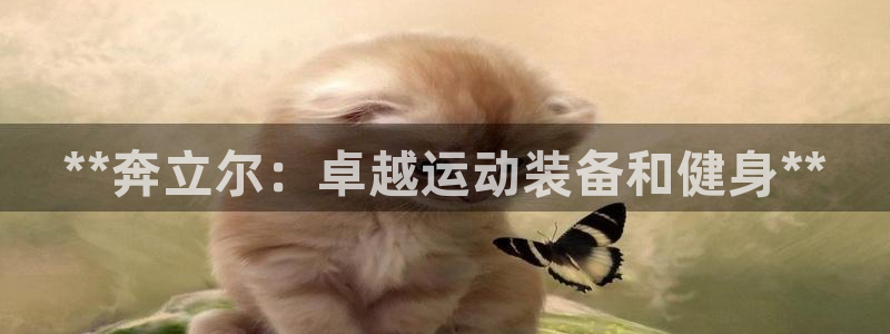 欧陆娱乐计划预测软件下载:**奔立尔:卓越运动装备和健身**