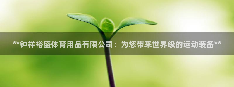 欧陆娱乐登录注册平台官网:**钟祥裕盛体育用品有限公司:为您