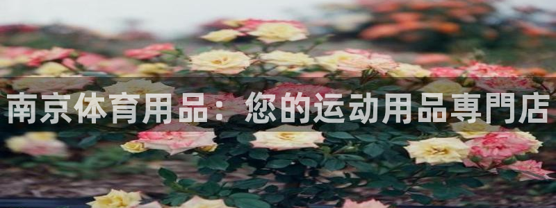 欧陆娱乐脚本下载:南京体育用品:您的运动用品専門店