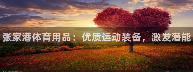 欧陆娱乐平台登录:张家港体育用品:优质运动装备,激发潜能
